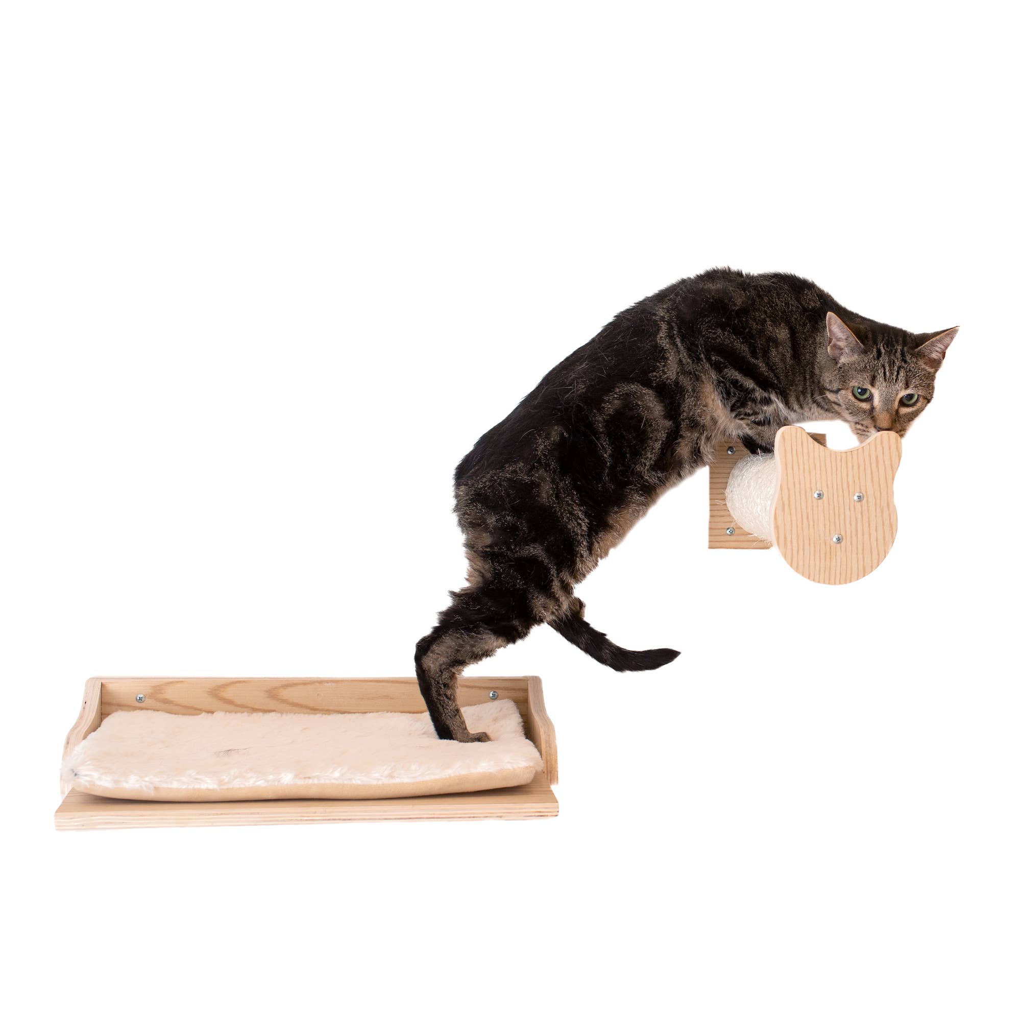 Cat Condo with Perch And Step
