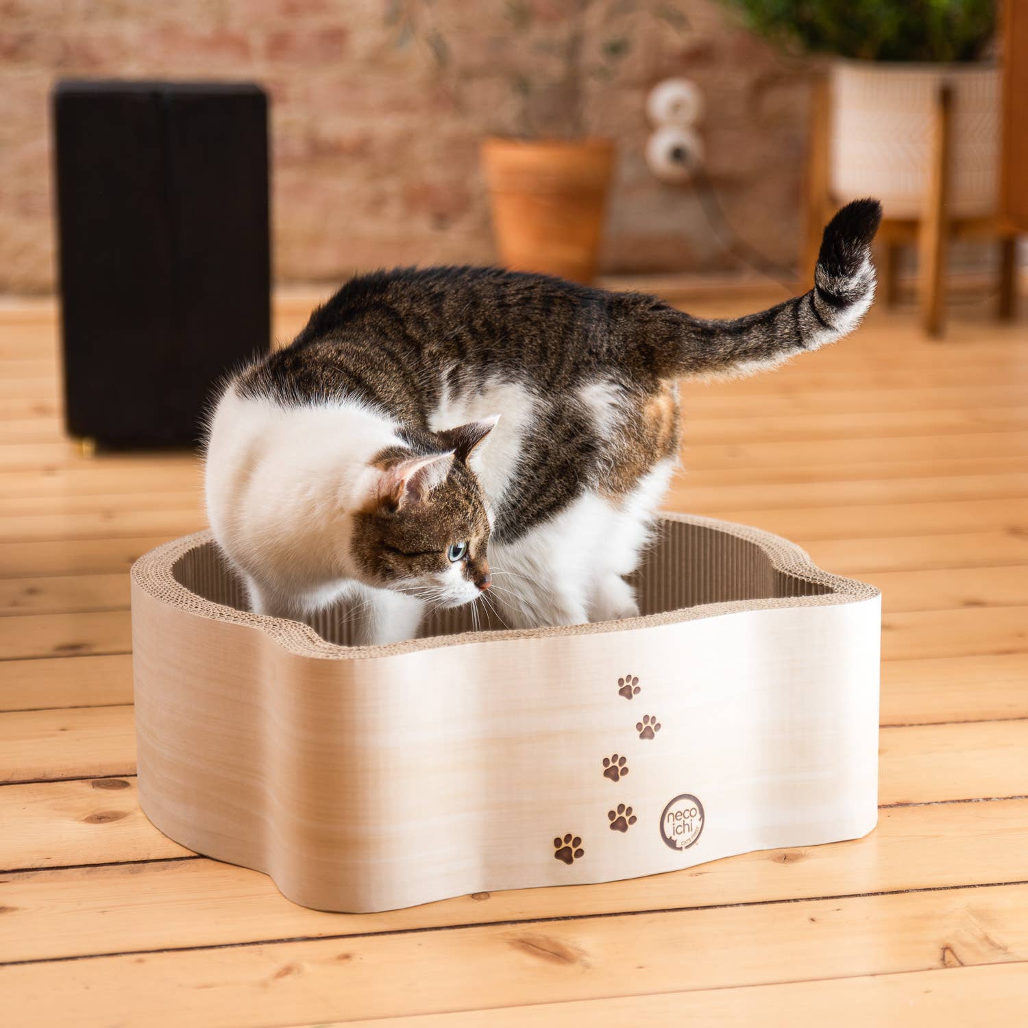 Cat-Headed Scratcher Bed