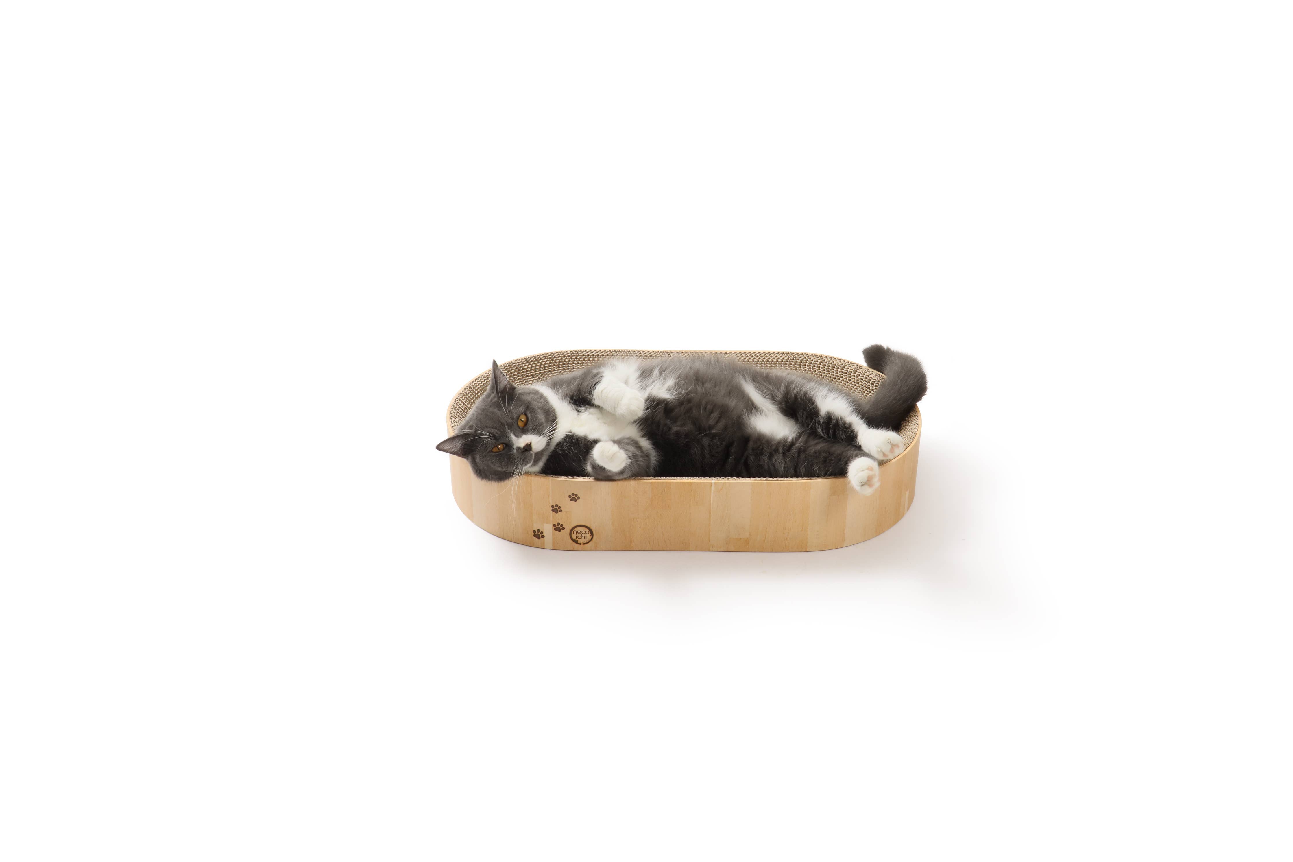 Cozy Cat Scratcher Bowl