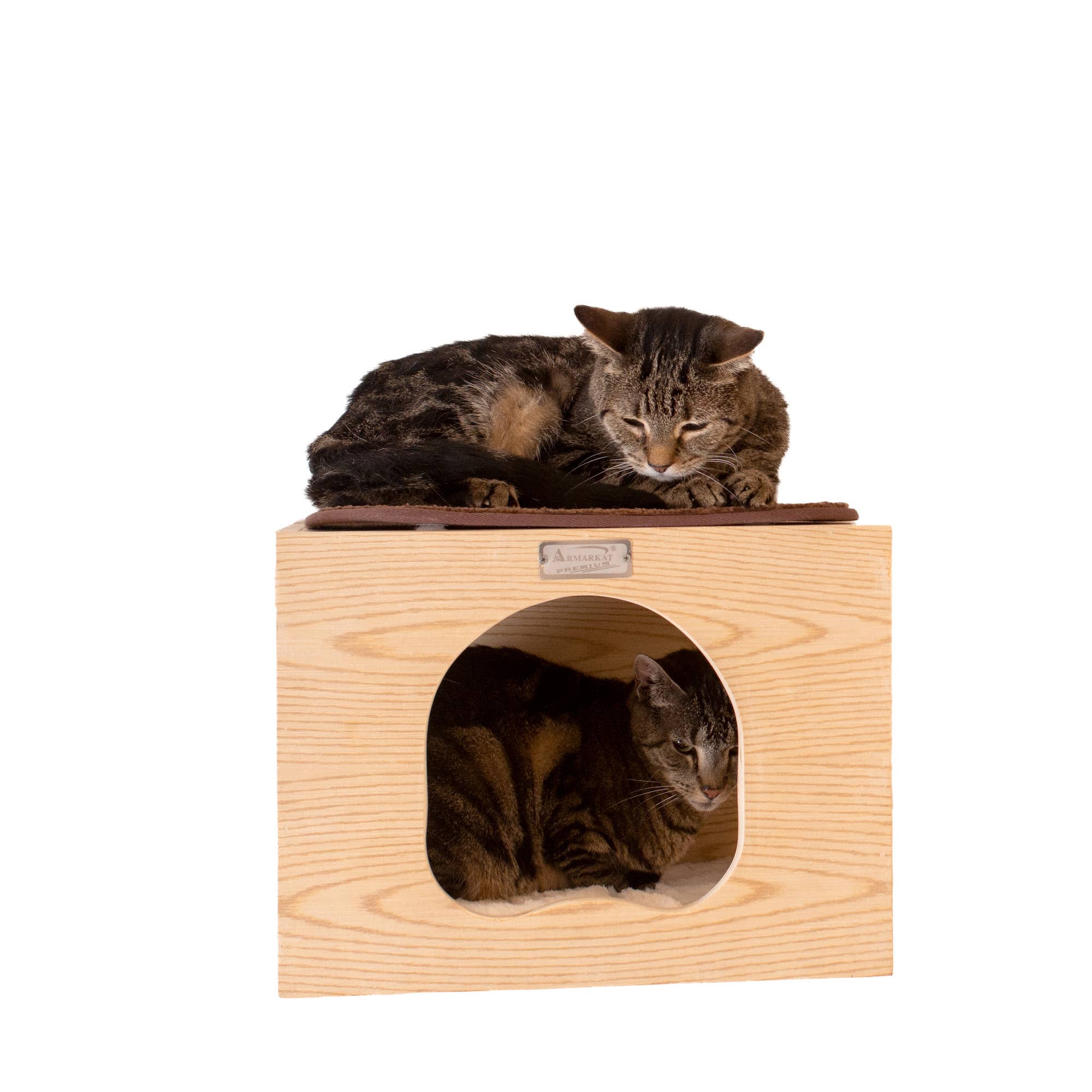 Cat Condo with Perch And Step