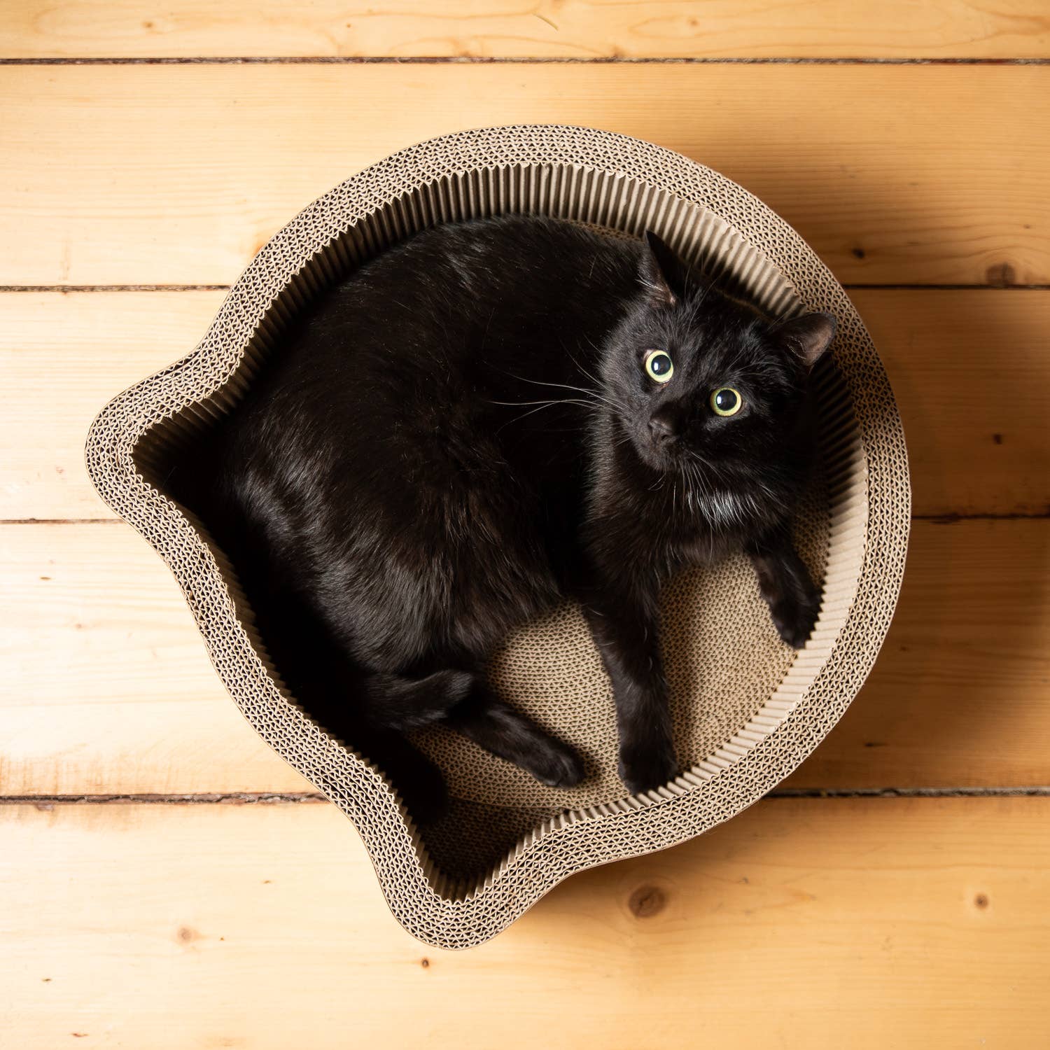 Cat-Headed Scratcher Bed