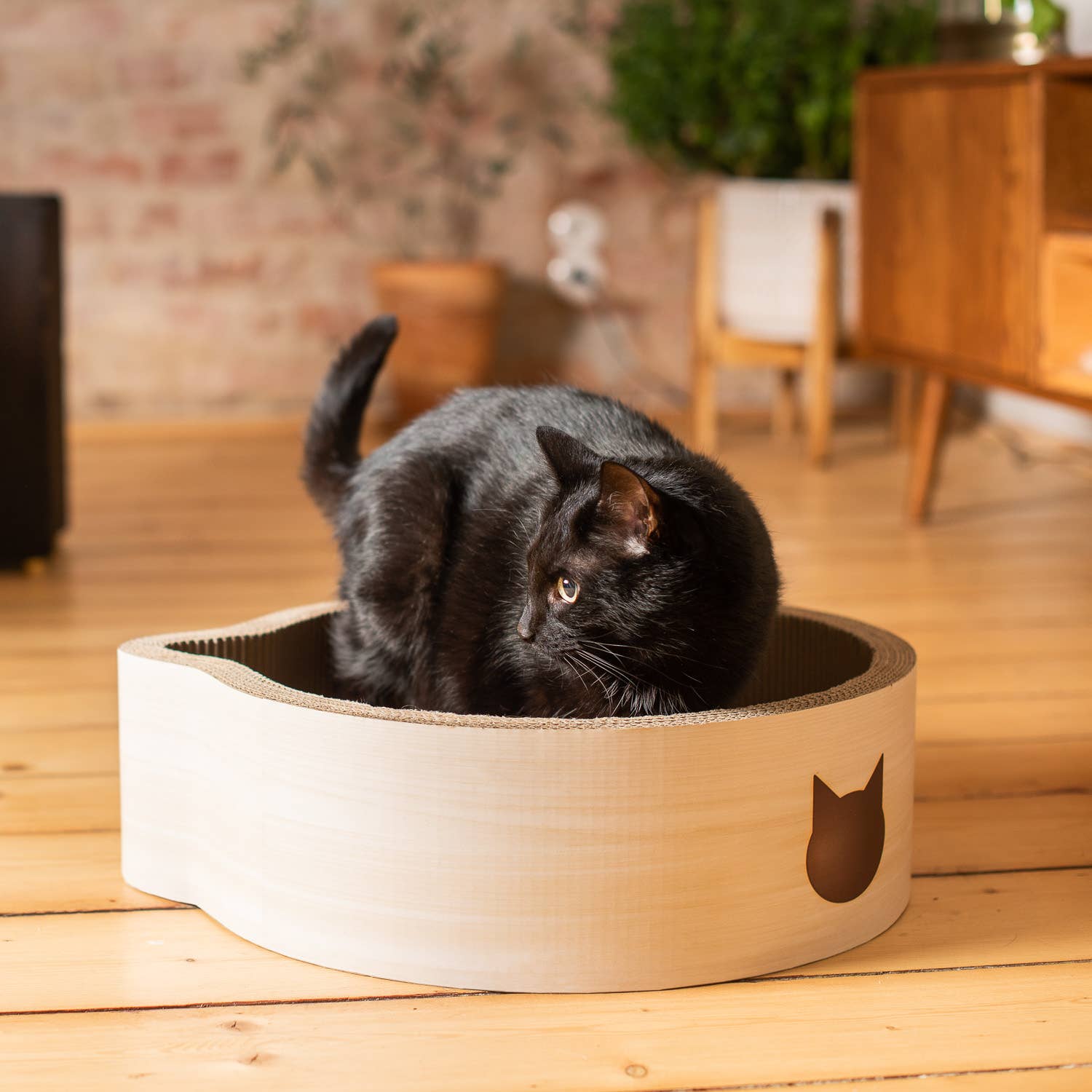 Cat-Headed Scratcher Bed