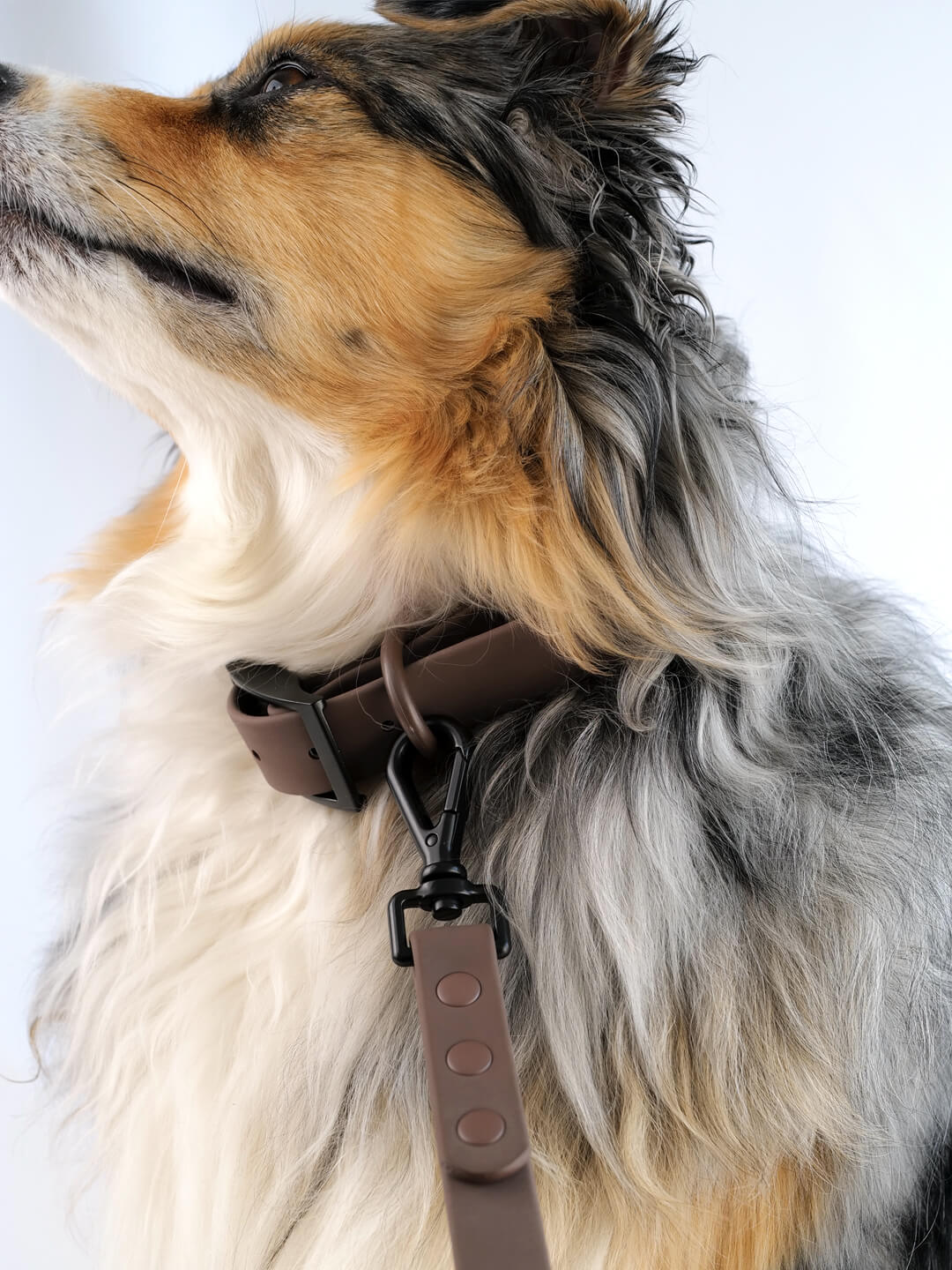 Waterproof Dog Collar
