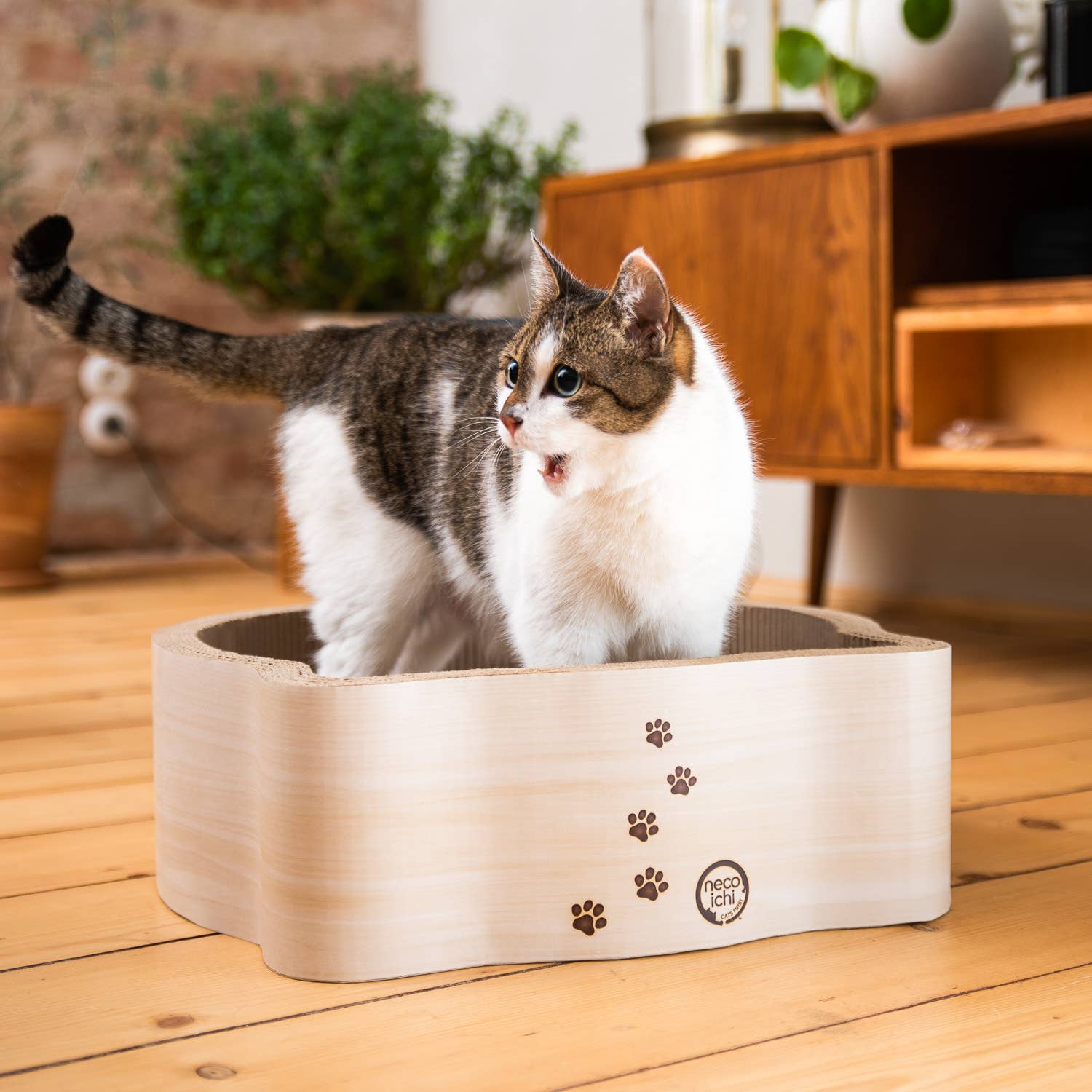 Cat-Headed Scratcher Bed