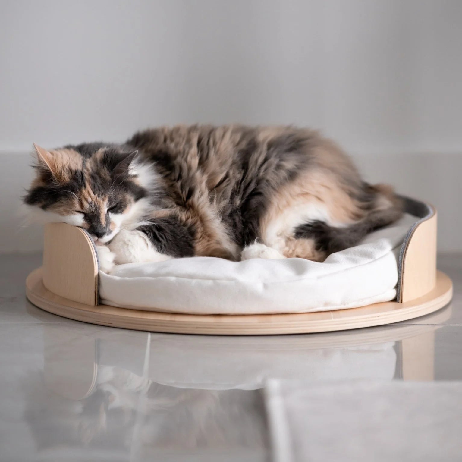 Luxury Cat & Small Dog Bed