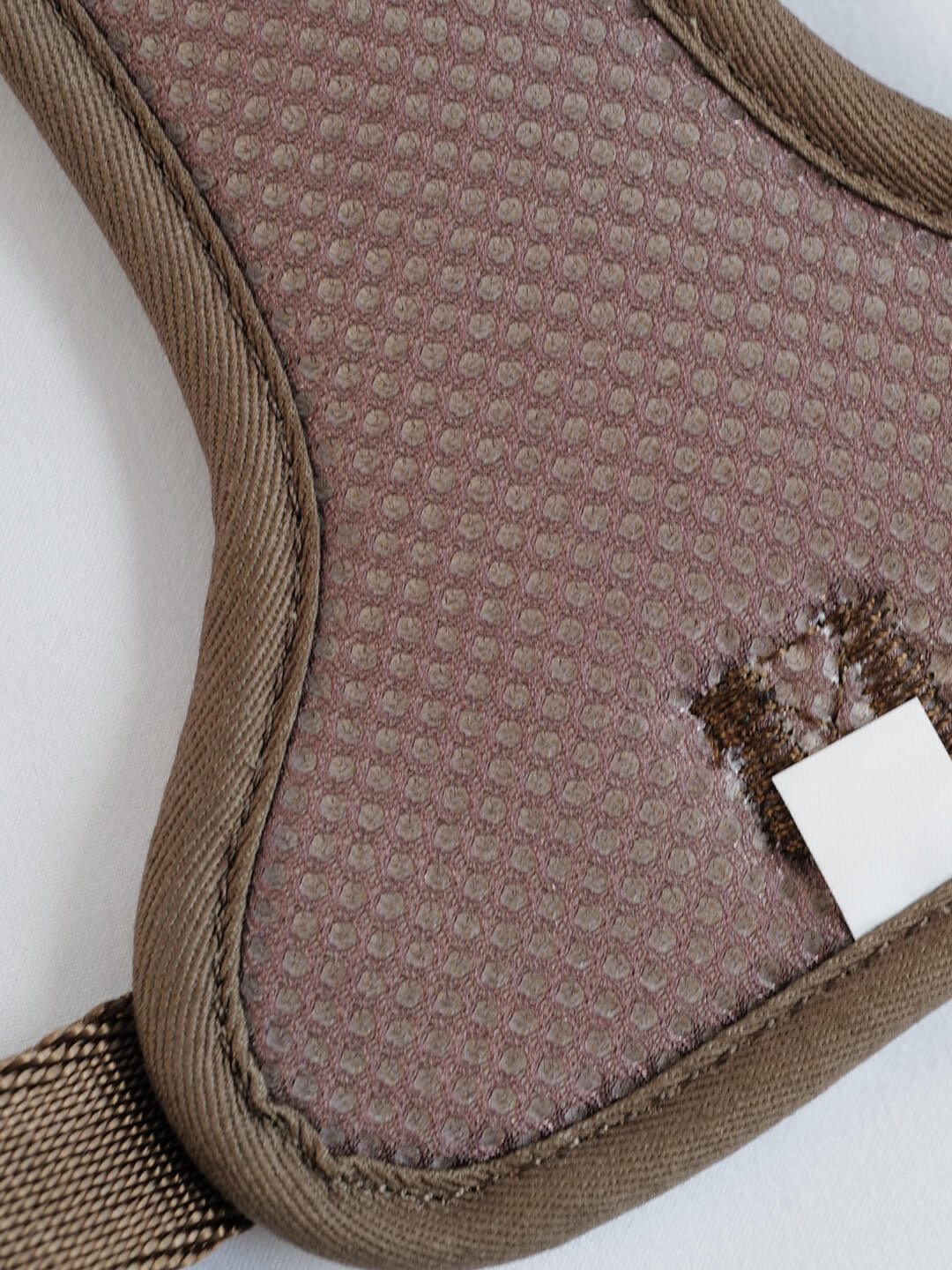 Easy-Fit 3-Buckle Escape-Proof Dog Harness