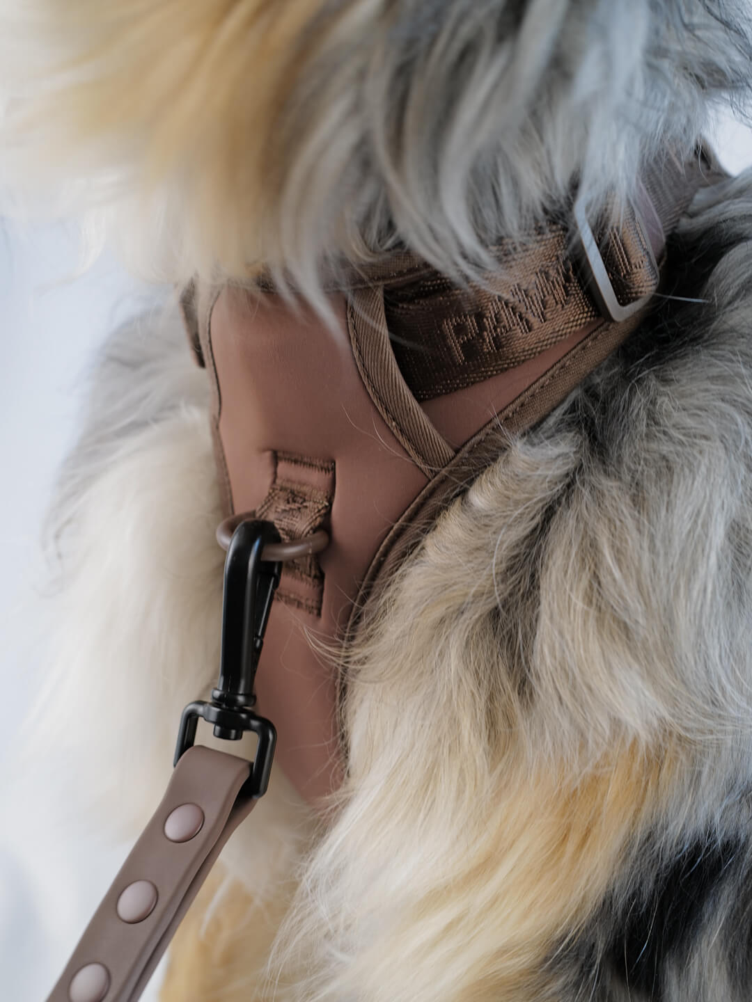 Easy-Fit 3-Buckle Escape-Proof Dog Harness