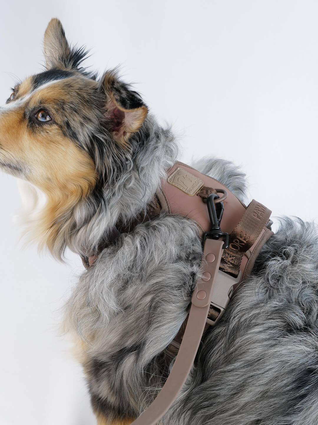 No-Pull Dog Harness