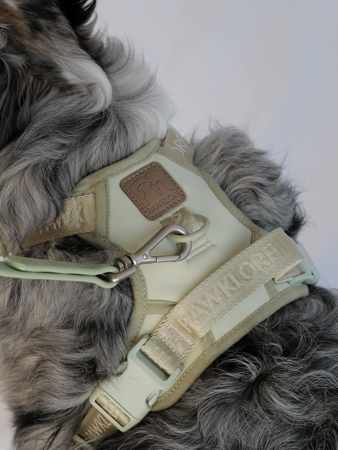 Easy-Fit 3-Buckle Escape-Proof Dog Harness