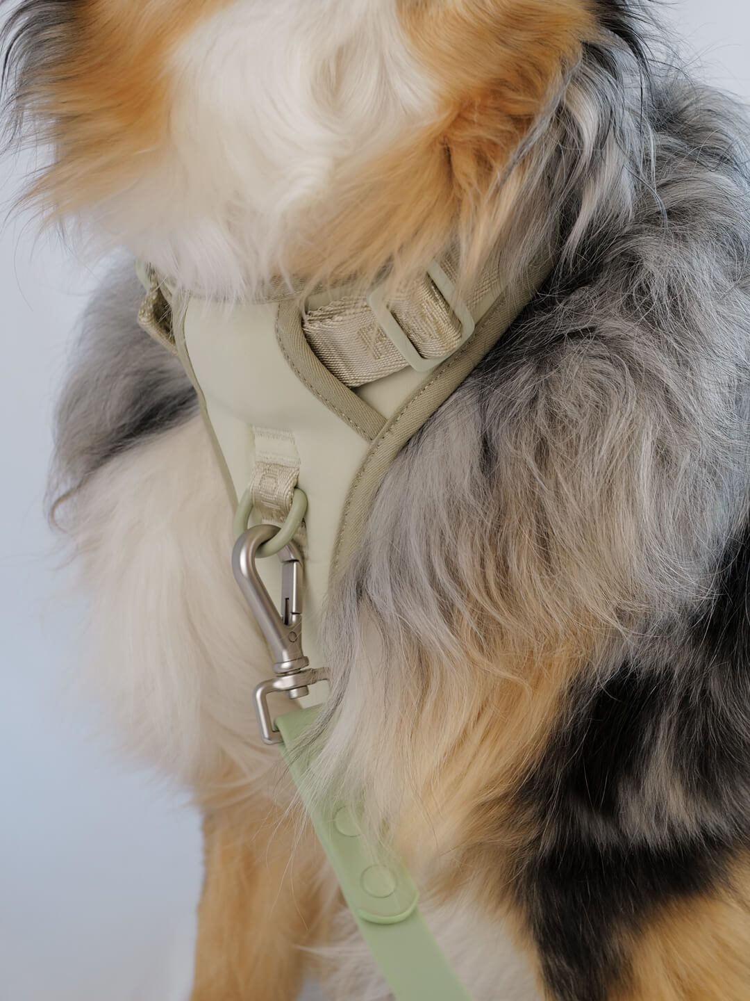 No-Pull Dog Harness