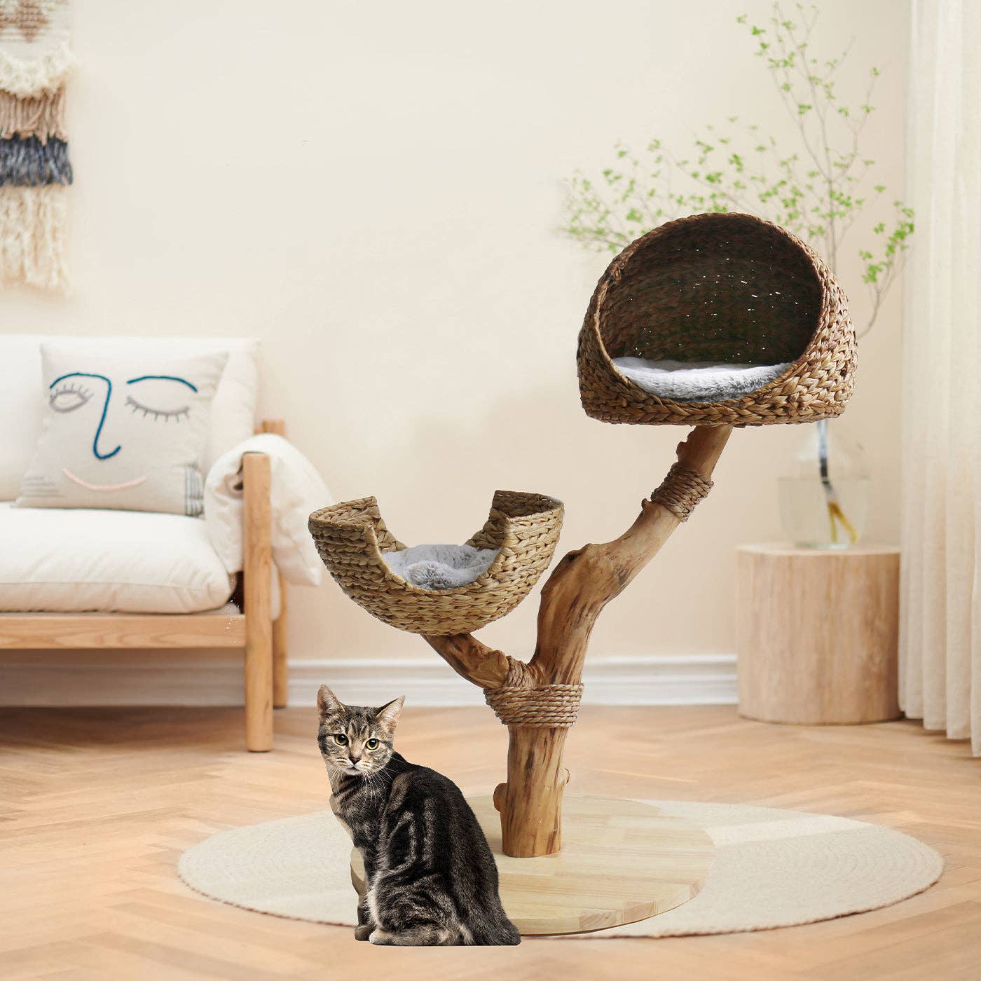 The Duo Cat Condo with Scratching Post