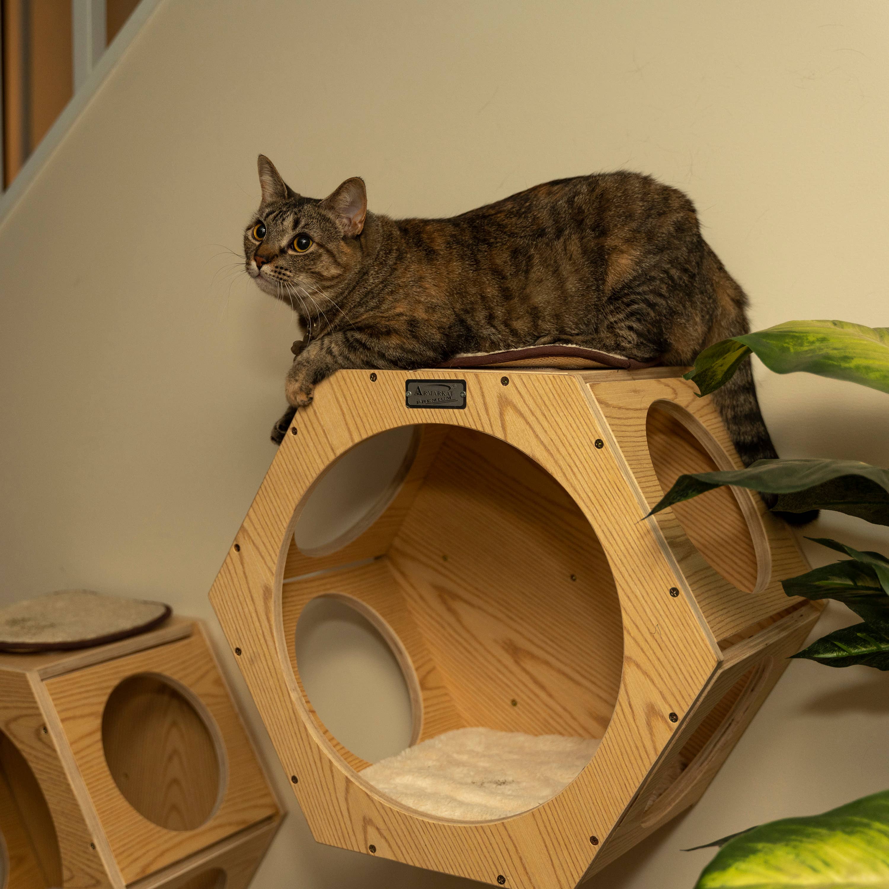 Hexagon Cat Wall Condo (Set of Two)