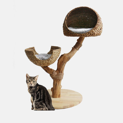 The Duo Cat Condo with Scratching Post