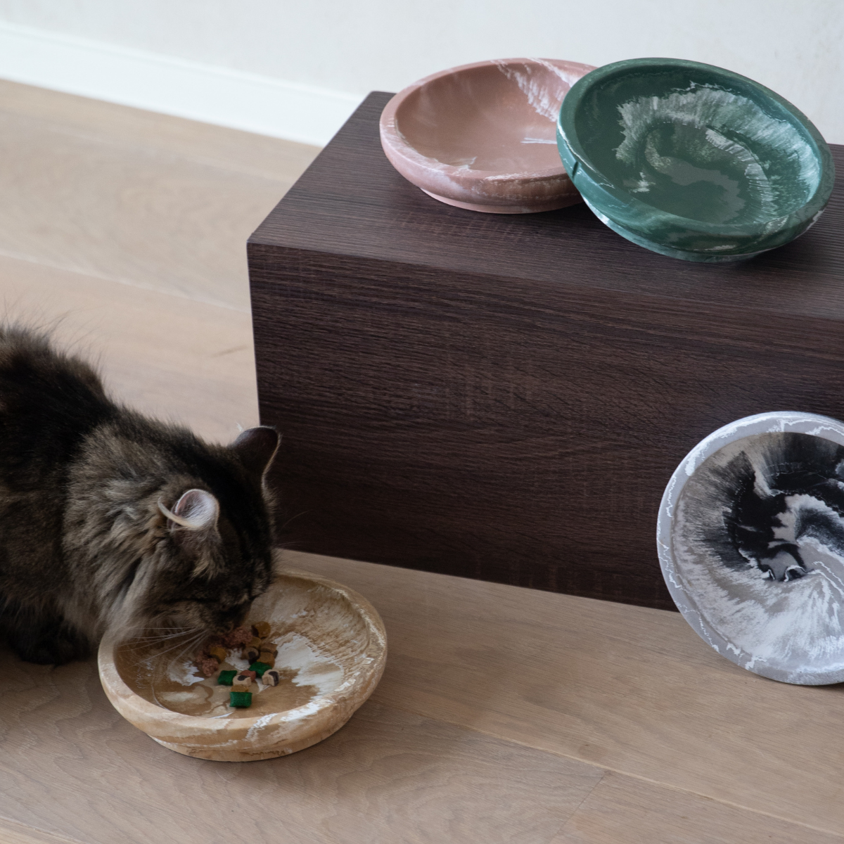 Whisker Friendly Bowl Cat