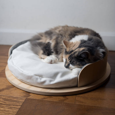 Luxury Cat & Small Dog Bed