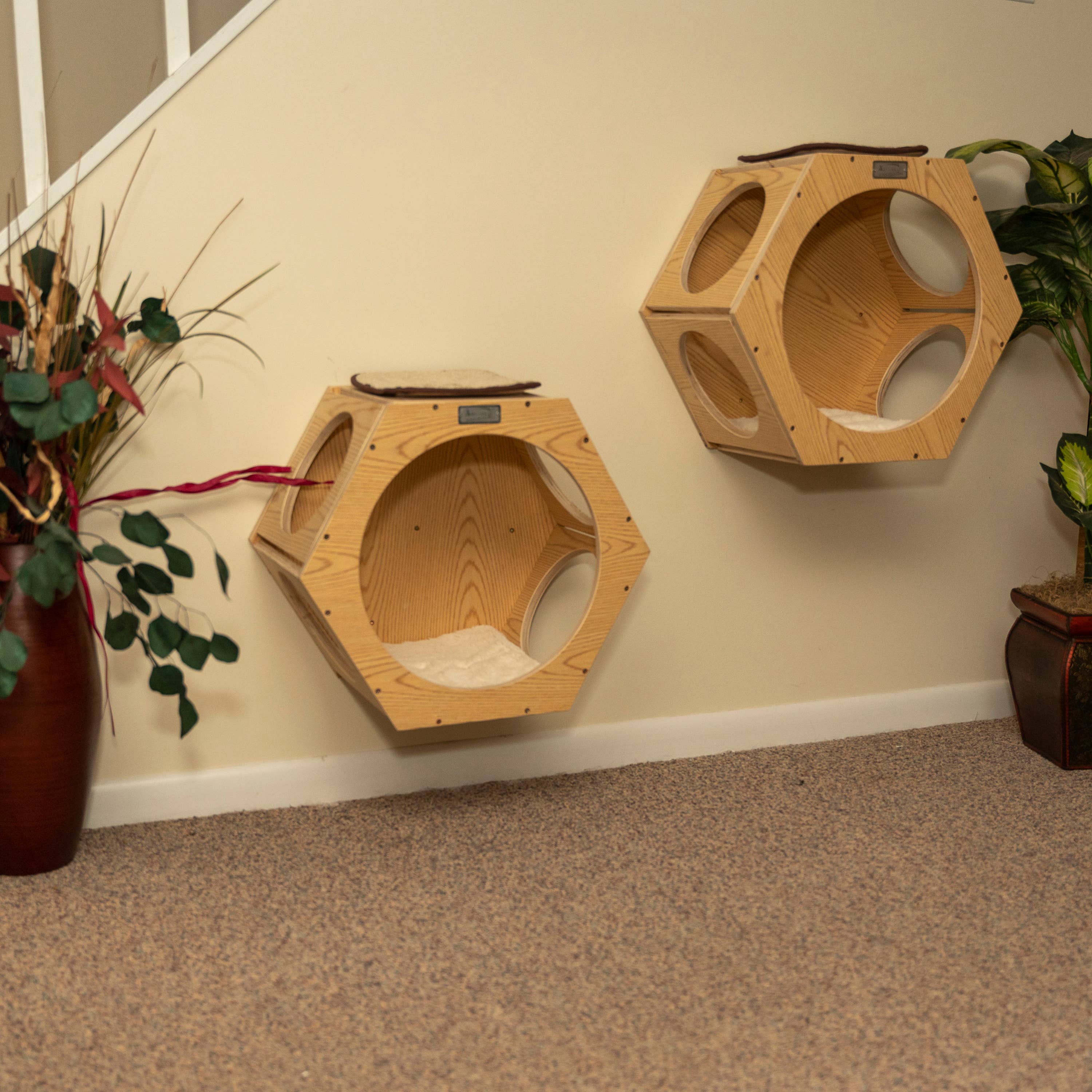 Hexagon Cat Wall Condo (Set of Two)