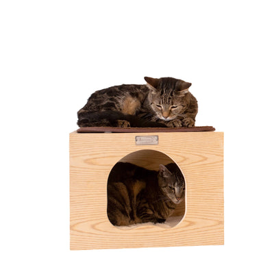 Cat Condo with Perch And Step