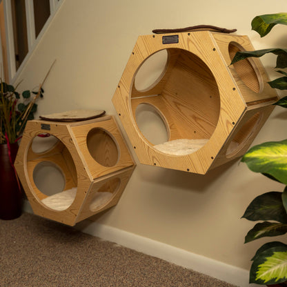 Hexagon Cat Wall Condo (Set of Two)