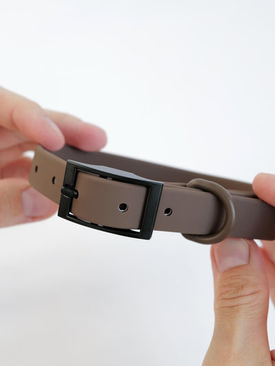 The Signature Collar