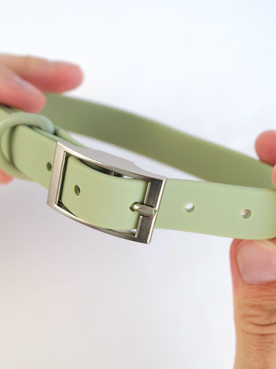 The Signature Collar