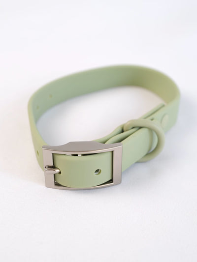 The Signature Collar