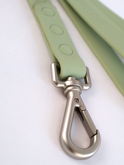 Dog waterproof flat leash green 5 feet closeup locking aluminium