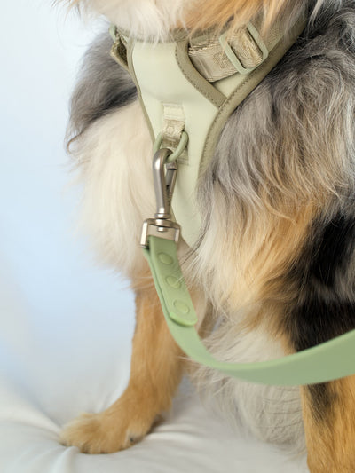 dog waterproof flat leash matcha green on dog harness