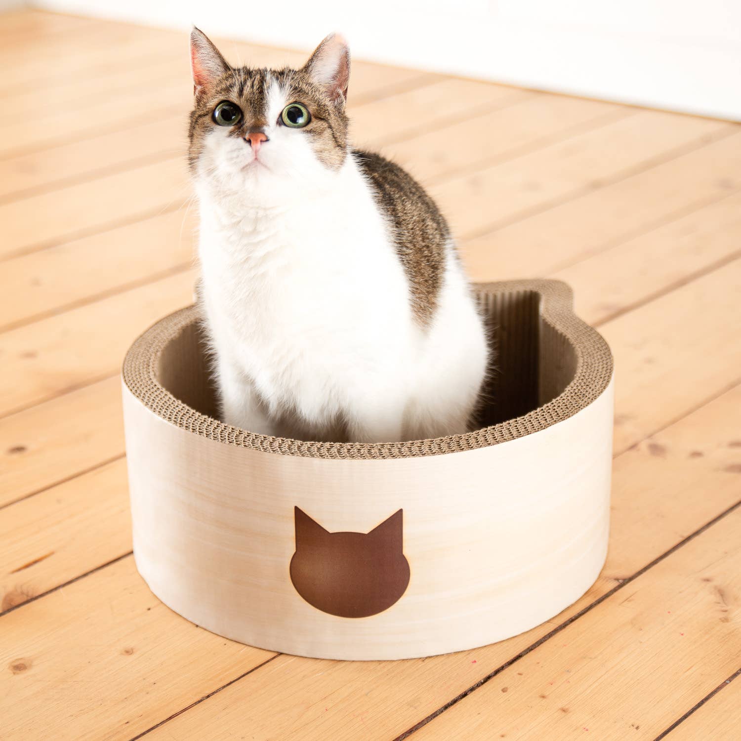 Cat-Headed Scratcher Bed