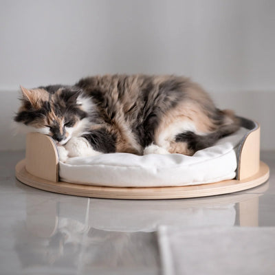 Luxury Cat & Small Dog Bed